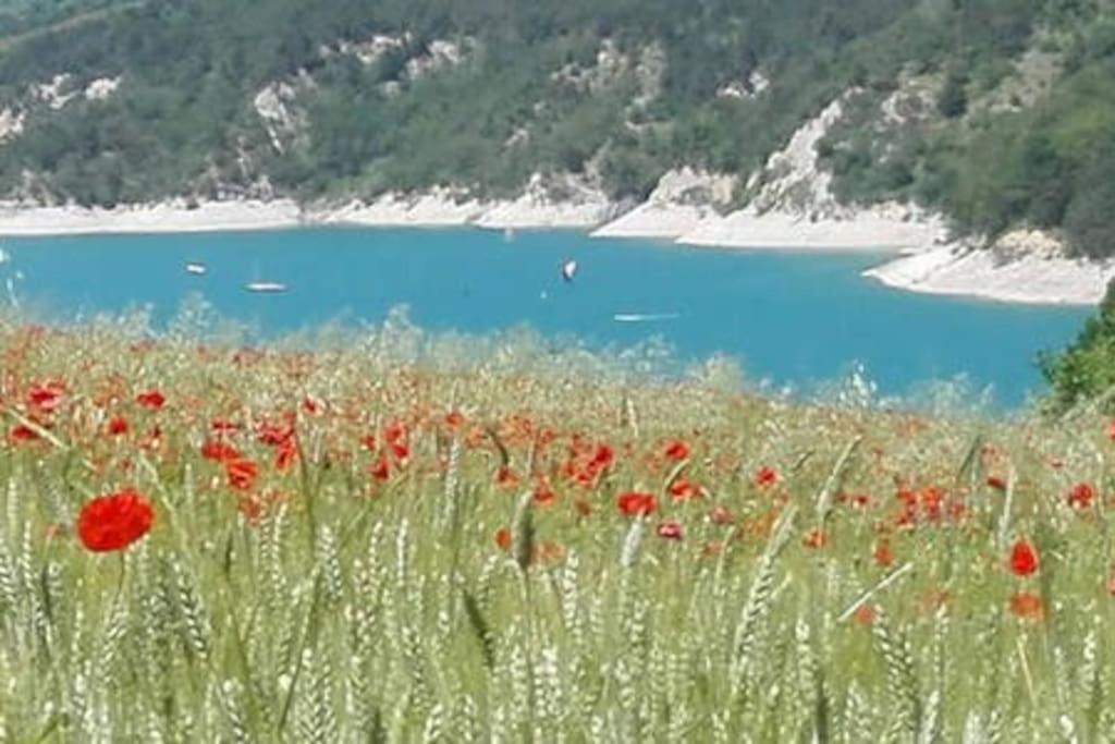 Gite De Charme : La Grange Au Lac Azur Treffort  المظهر الخارجي الصورة